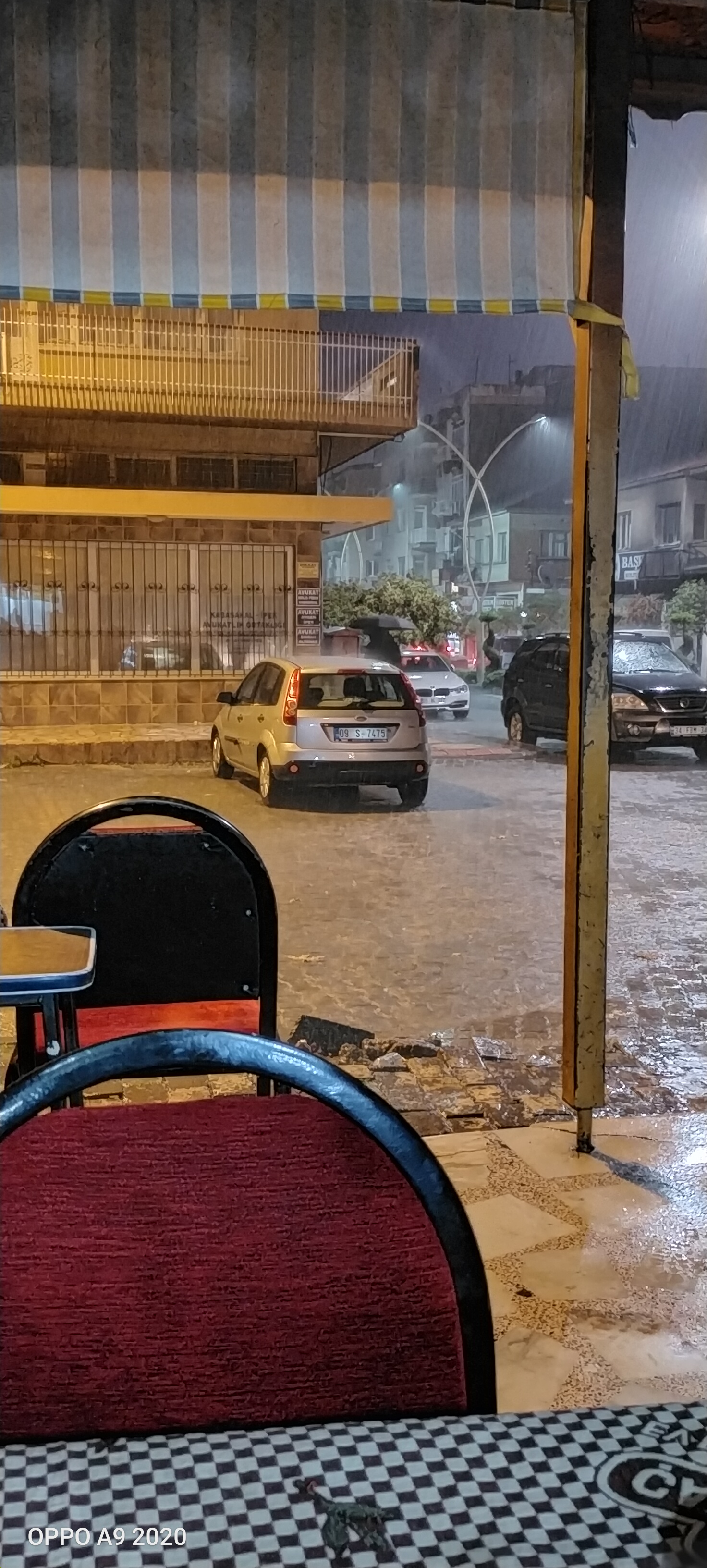 IMG20191129073411.jpg
